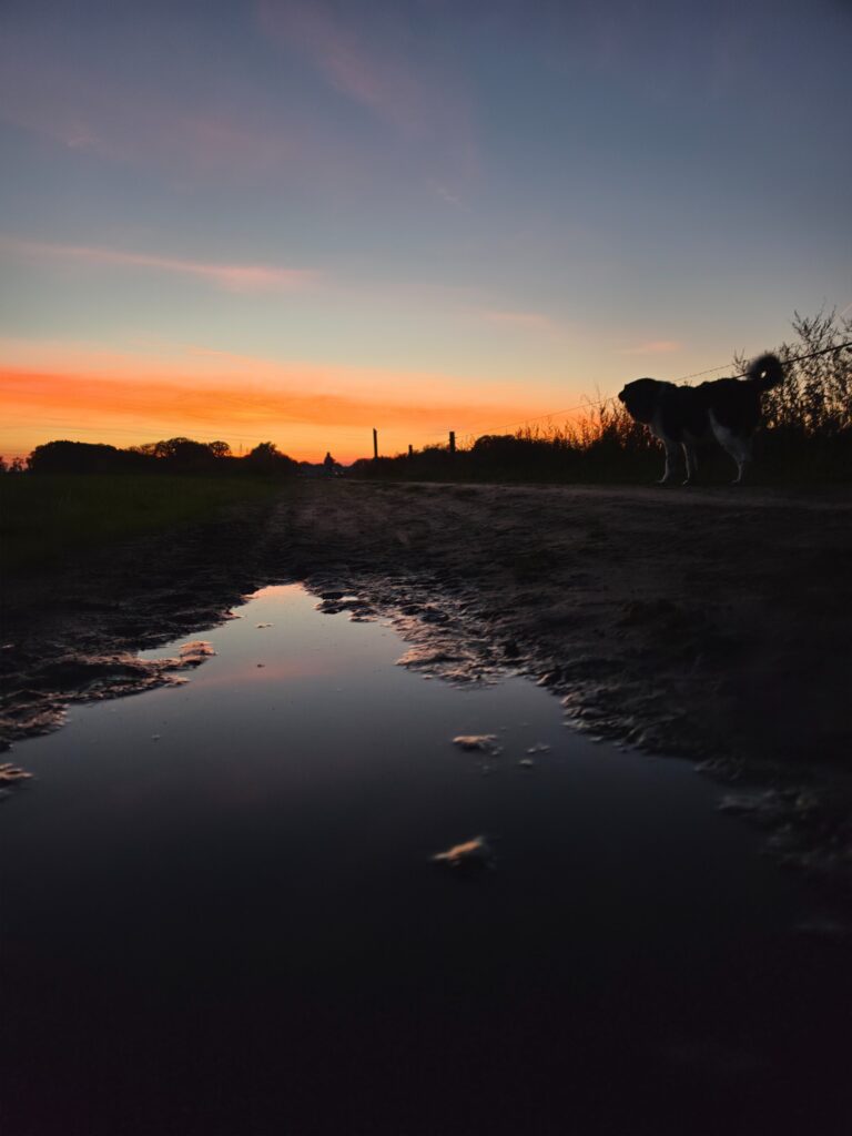 Avond wandeling.