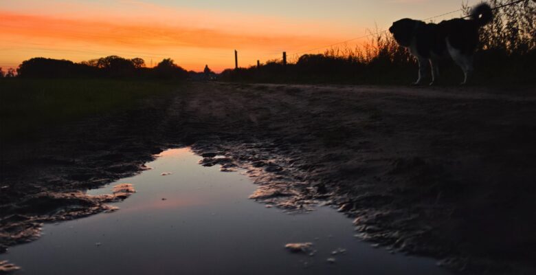 Avond wandeling.